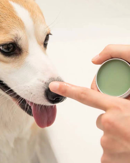 Amo Petric Snout Soother