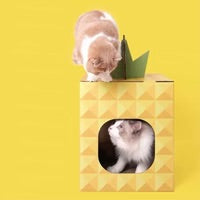 PurLab Pineapple House Scratcher