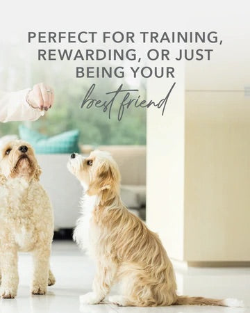 K9 Natural Green Mussels Healthy Snacks for Dogs - 50g