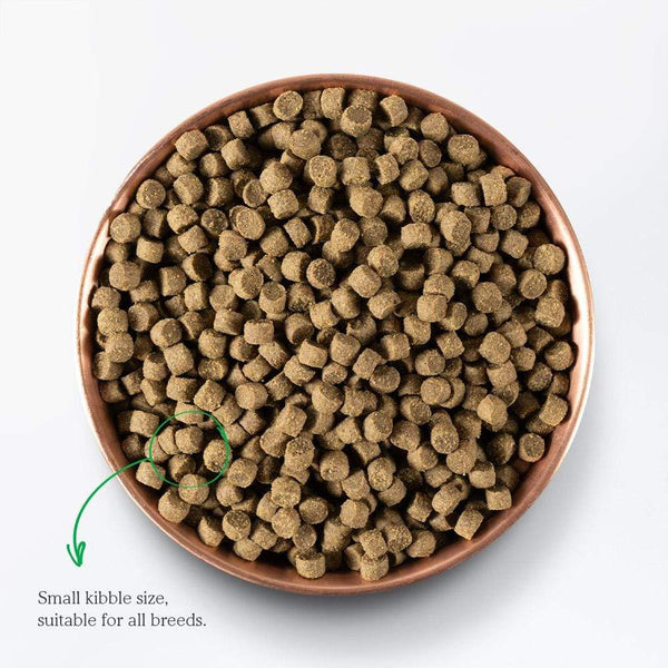 Open Farm Grass-Fed Beef Adult Dog Dry Food