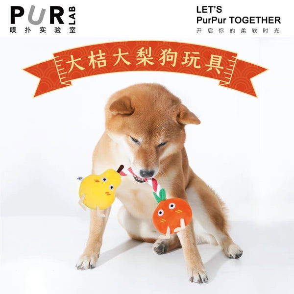 Purlab Good Fortune Squeeky and Hard Chewing Rope for Dogs