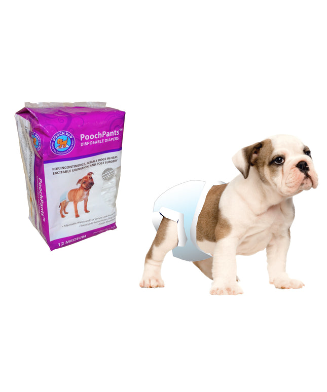 PoochPants Disposable Diapers
