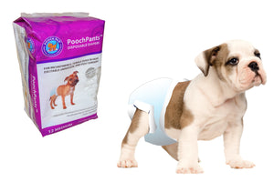 PoochPants Disposable Diapers