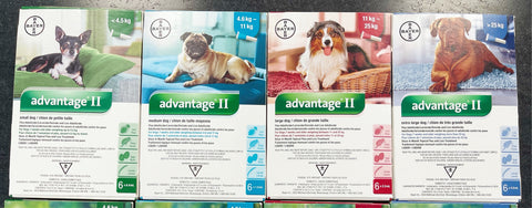 Advantage® II for dogs 6 tubes