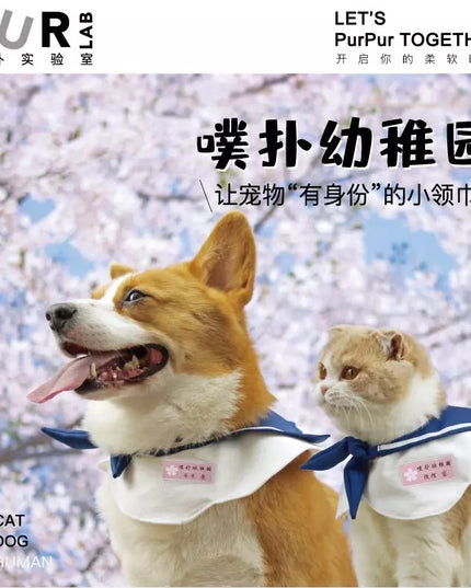 PurLab Pet Sailor Collar