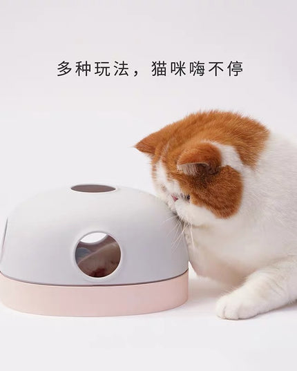 Makesure Hola Cat Toy