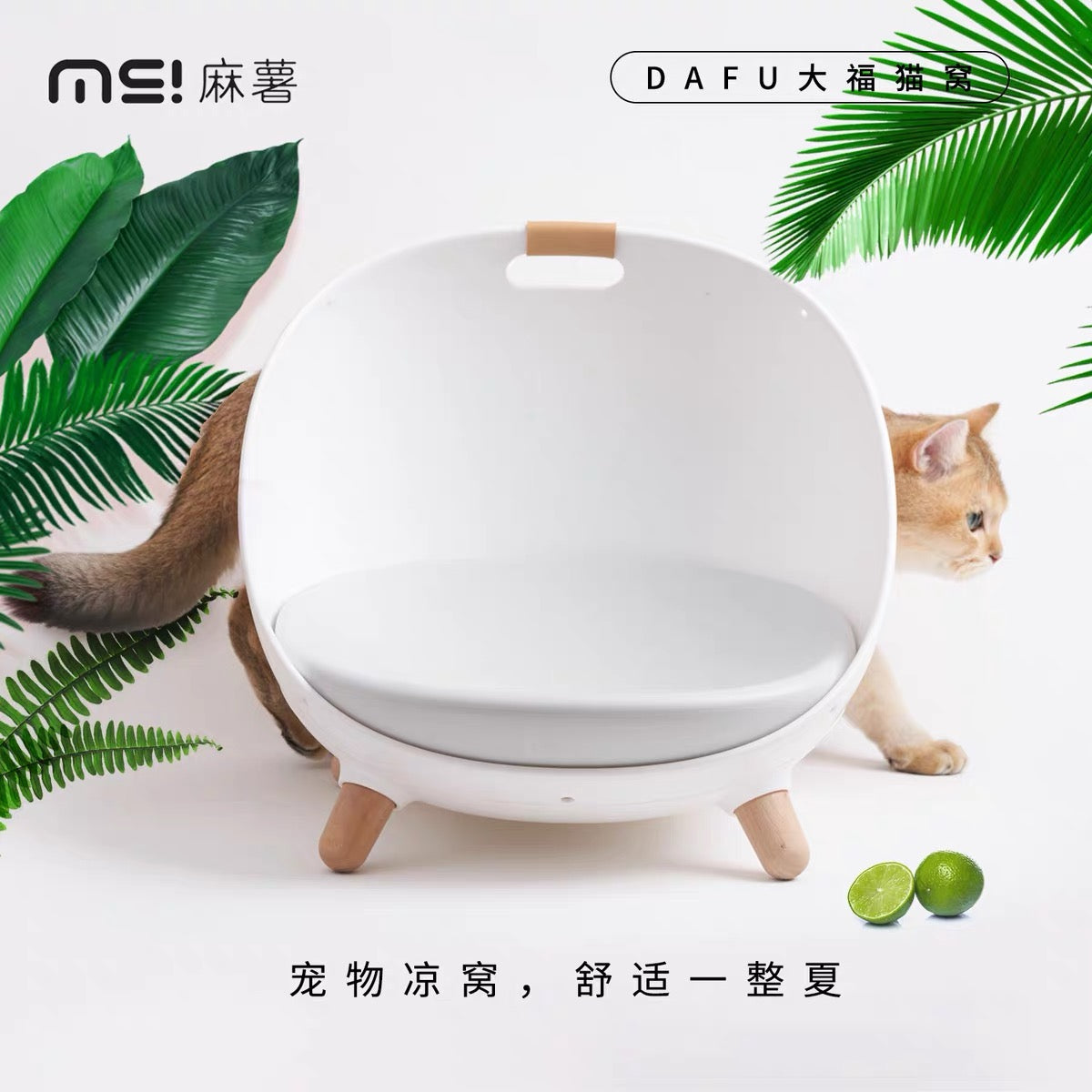 Makesure DAFU 4合1多功能猫沙发，椅子，秋千，帐篷