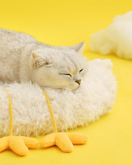 ZeZe Chicken Pet Bed