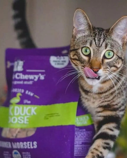 Stella and Chewy's 鸭鸭鹅冻干生晚餐小块