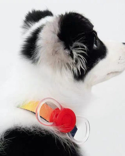 Pidan Led 蝴蝶结项圈