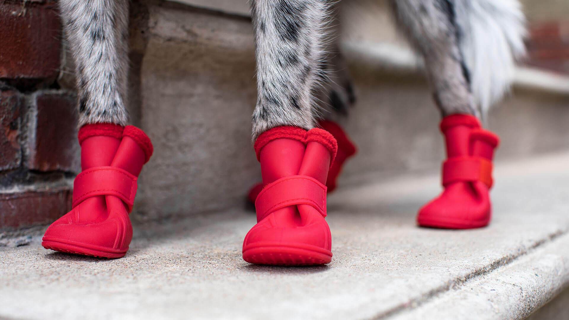 Canada Pooch Lined Wellies Dog Boots