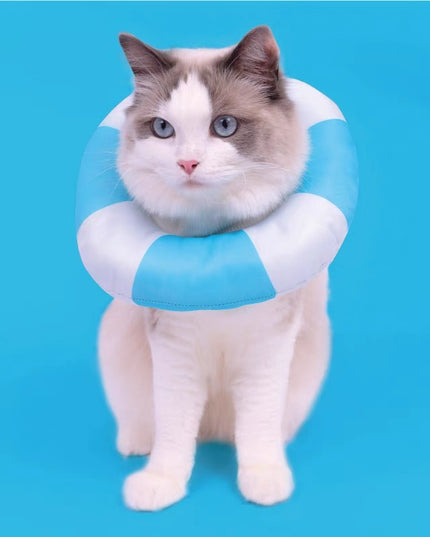 PurLab Swimming Ring Elizabeth Collar