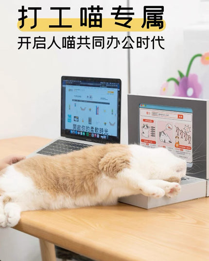 Purlab 电脑抓猫器