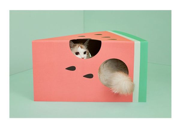 Vetreska Cheese / Watermelon Cat Scratching Box