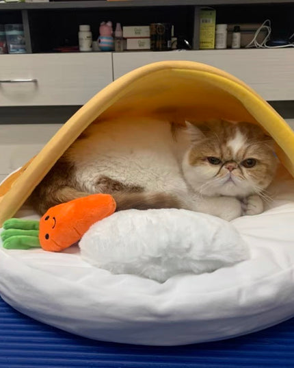 PurLab Curry Rice Pet Bed with Pillow and Carrot Toy