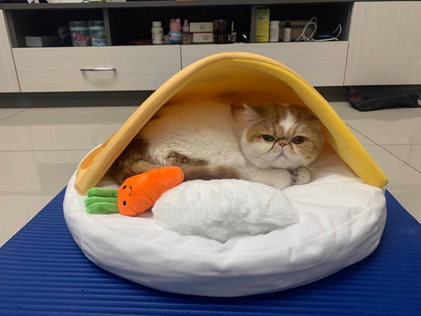 Purlab Curry Rice Pet Bed with Pillow and Carrot Toy