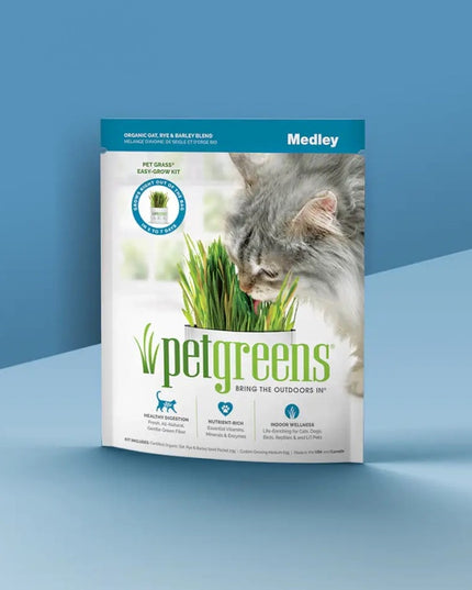 petgreens Cat Grass Easy Self-Grow Kits