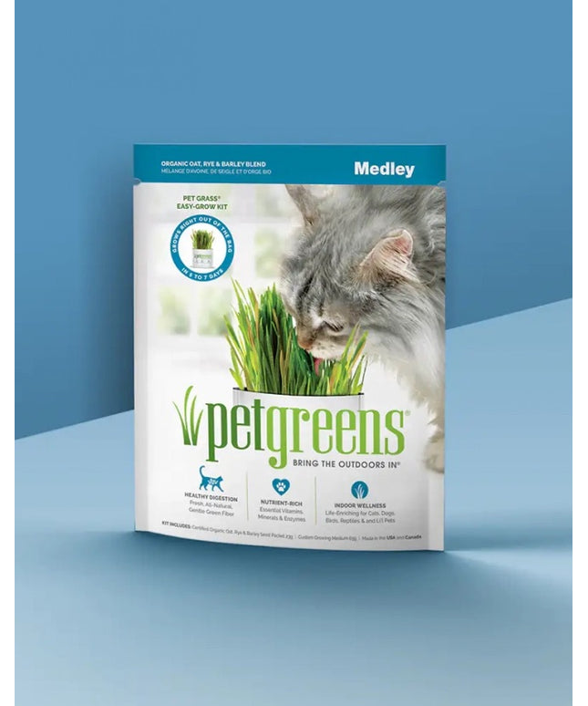 petgreens Cat Grass Easy Self-Grow Kits
