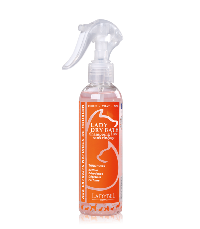 Ladybel Dry Shampoo Spray