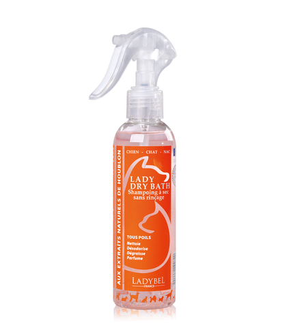 Ladybel Dry Shampoo Spray