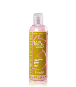 Ladybel Jojoba Moisturizing shampoo (200ml)
