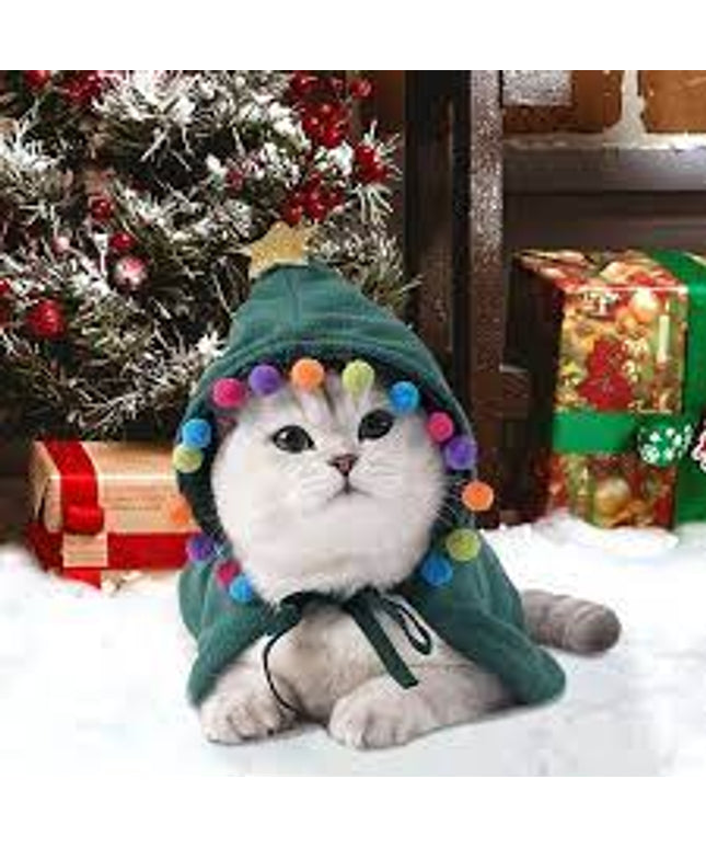 ZeZe Christmas Witch Pet Cape