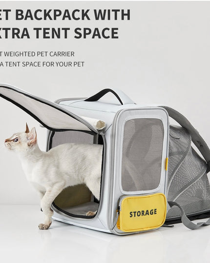 Petkit Breezy X Zone 宠物背带