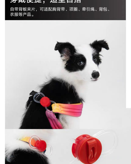 Pidan Led 蝴蝶结项圈