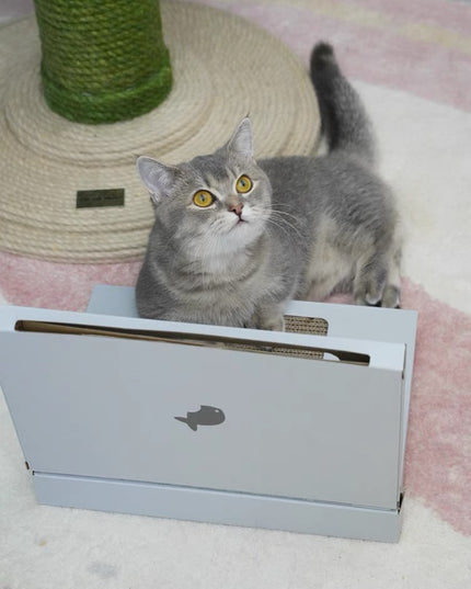 Purlab 电脑抓猫器