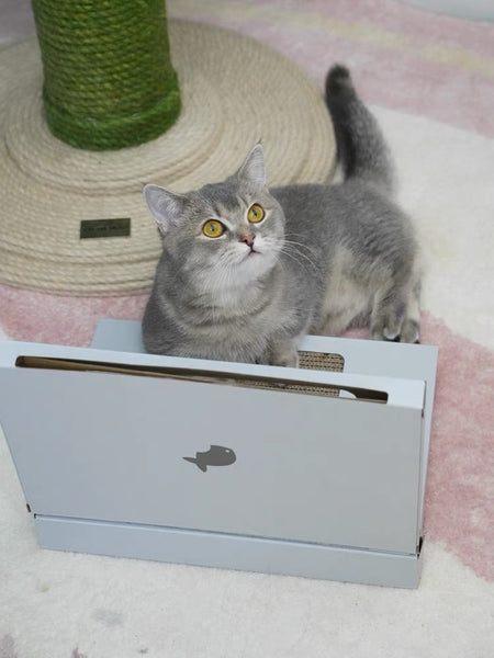 Purlab Computer Cat Scratcher