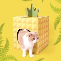 PurLab Pineapple House Scratcher