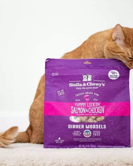 Stella and Chewy's Yummy Lickin' Salmon &amp; Chicken 冻干生晚餐小块