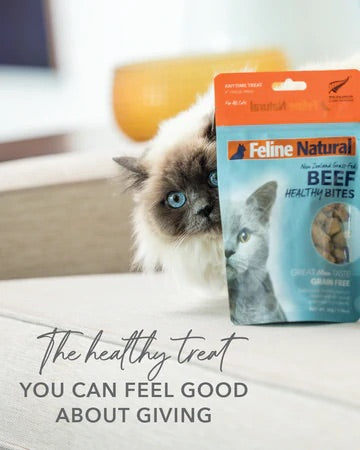 Feline Natural Beef and Organs Healthy Bites Cat Treats (50g)