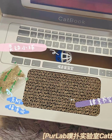 Purlab 电脑抓猫器