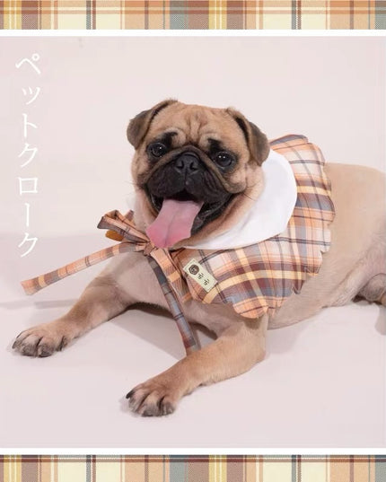 PurLab School Style Collar