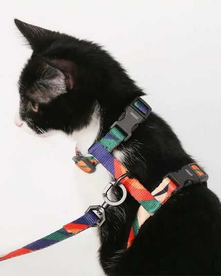 Pidan 猫背带和皮带套装