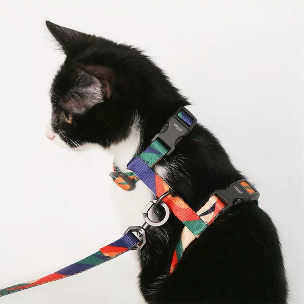 Pidan 猫背带和皮带套装