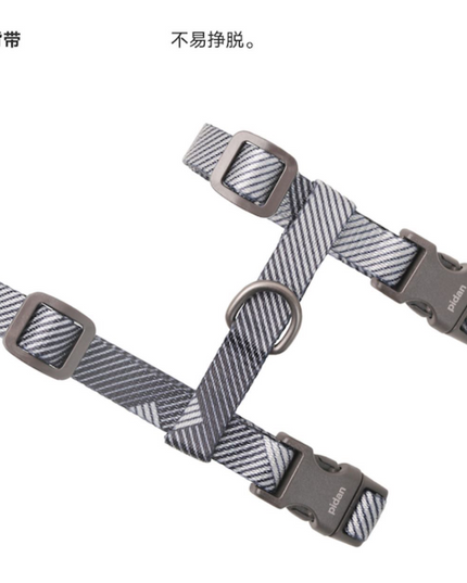 Pidan 猫背带和皮带套装