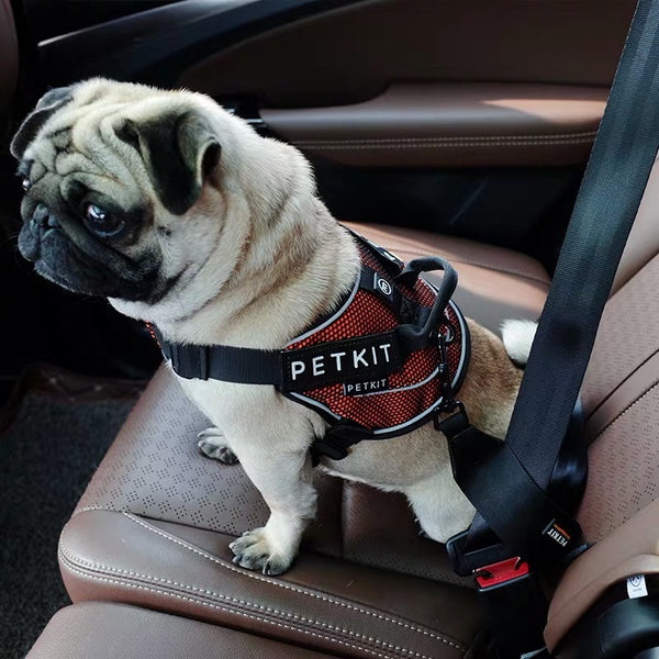 Petkit Pet Seatbelt