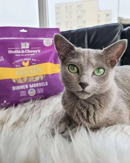 Stella and Chewy’s Chick, Chick Chicken Freeze-dried Raw Dinner Morsels