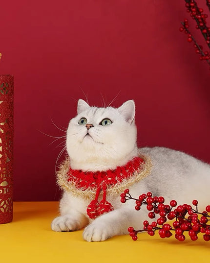 ZeZe Festival Knitted Pet Collar