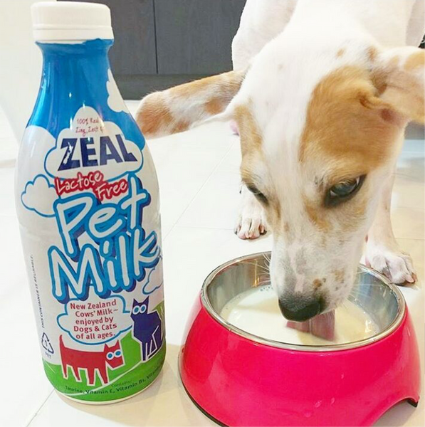 Zeal Milk for Dogs and Cats