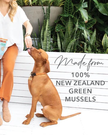 K9 Natural Green Mussels Healthy Snacks for Dogs - 50g