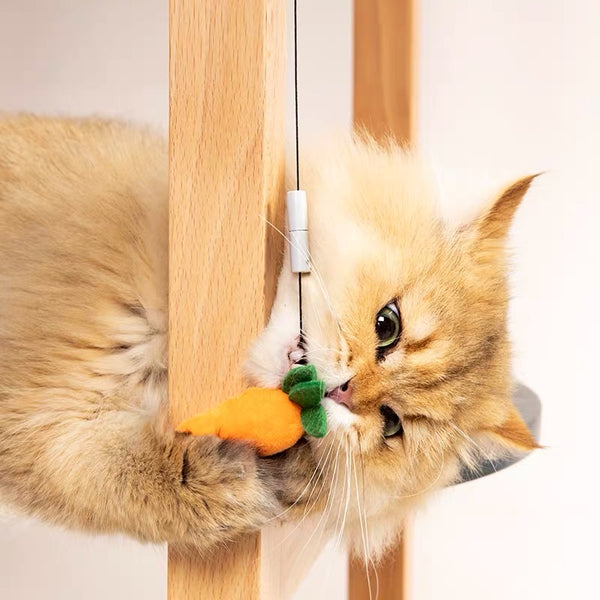 Pidan Retractable Pendant Cat Teasing Toy, 2 types
