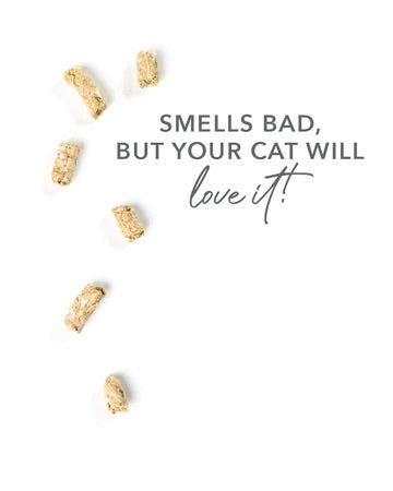 Feline Natural Lamb & Organs Healthy Bites Cat Treats - 50g