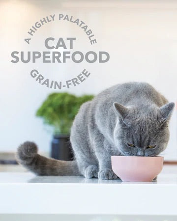 Feline Natural Lamb & Organs Healthy Bites Cat Treats - 50g