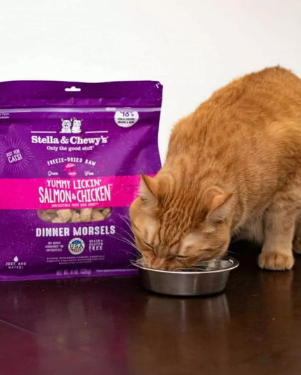 Stella and Chewy's Yummy Lickin' Salmon &amp; Chicken 冻干生晚餐小块