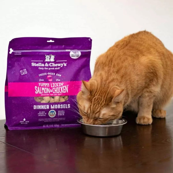 Stella and Chewy's Yummy Lickin’ Salmon & Chicken Freeze-Dried Raw Dinner Morsels