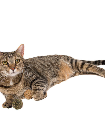 Natural Cat Toy Catnip/Silver Vine Fitness Ball Combi