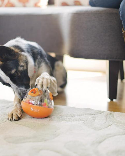 Pet Play Wobble Ball 2.0